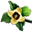 柿子花