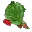 桑叶