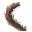 猴尾