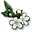 雪花莲